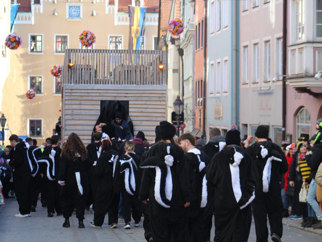 Faschingsumzug Donauwörth 2025