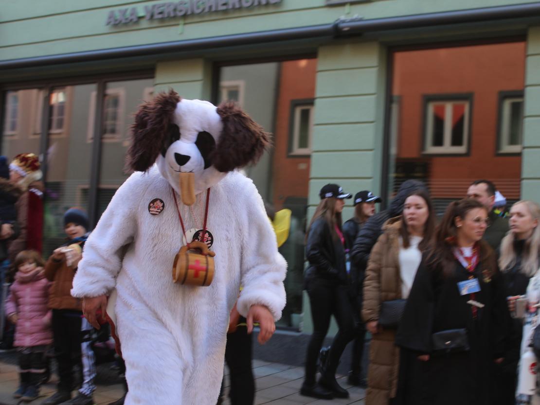 Faschingsumzug Donauwörth 2025