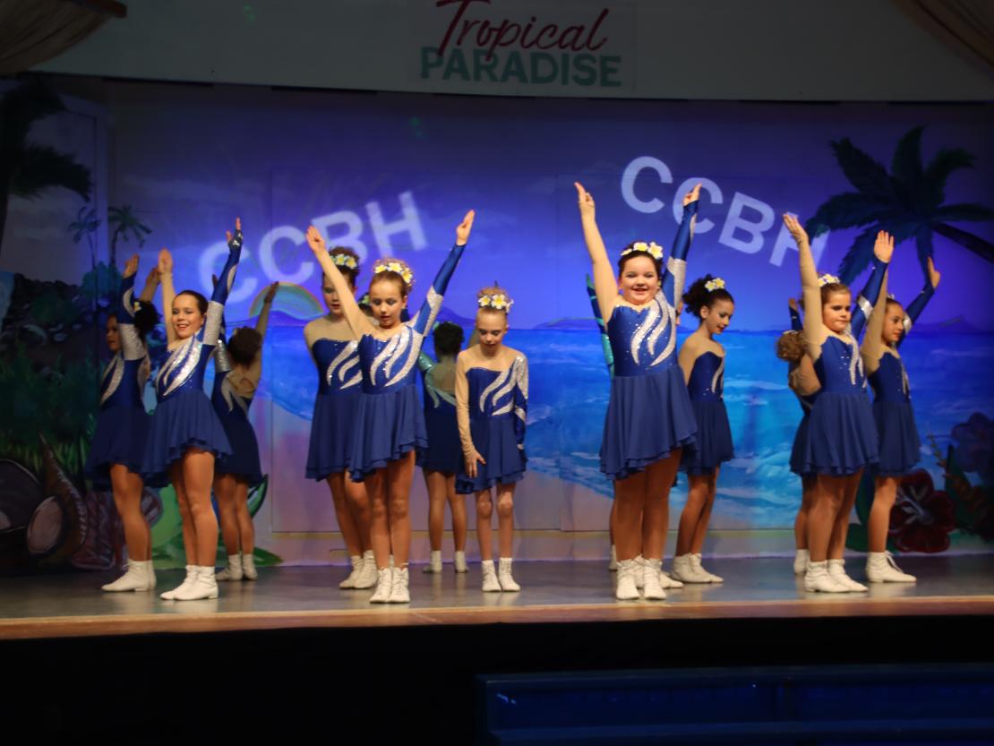 Nordschwäbisches Gardetreffen Huisheim