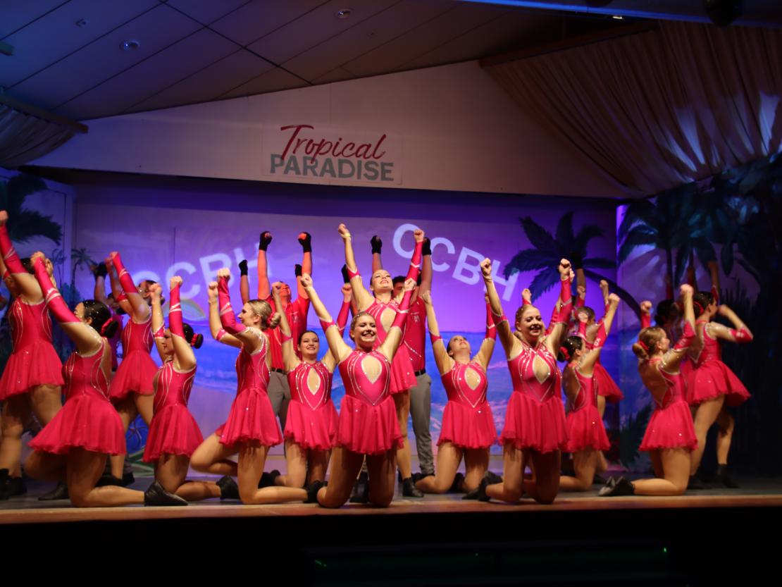 Nordschwäbisches Gardetreffen Huisheim