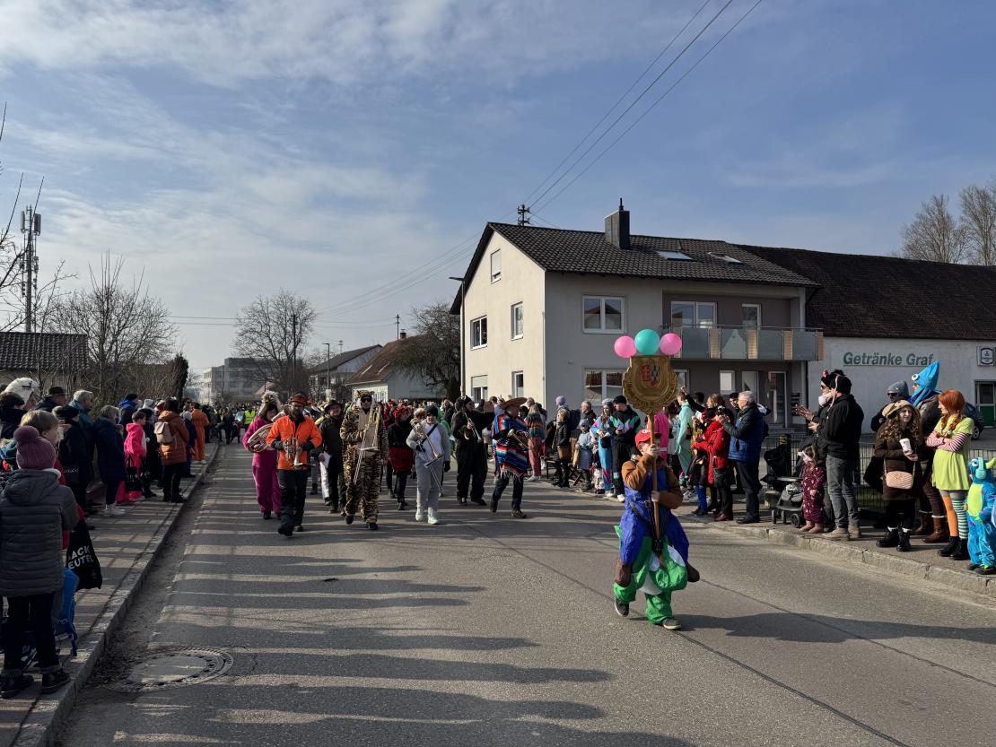 Faschingsumzug Mertingen 2025