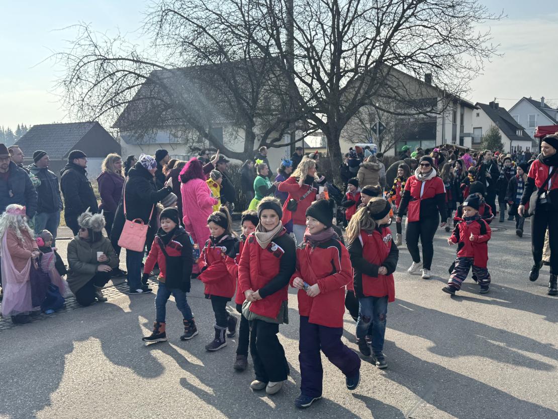 Faschingsumzug Mertingen 2025