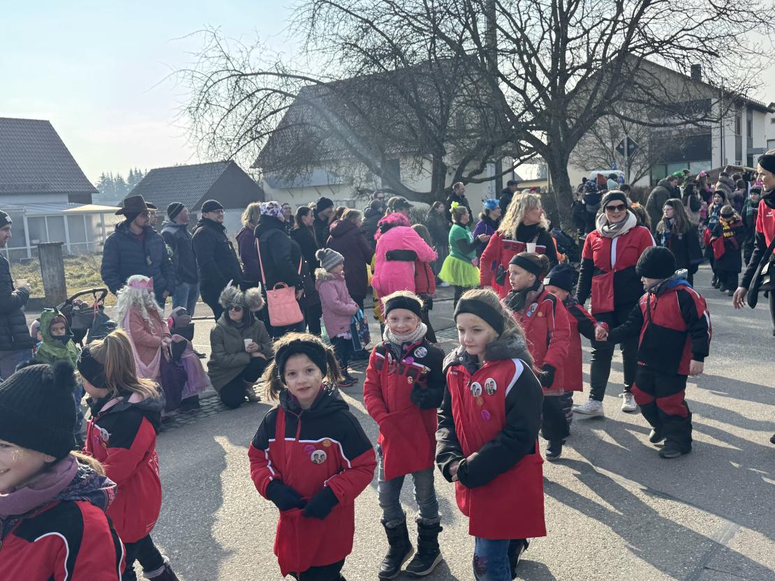 Faschingsumzug Mertingen 2025