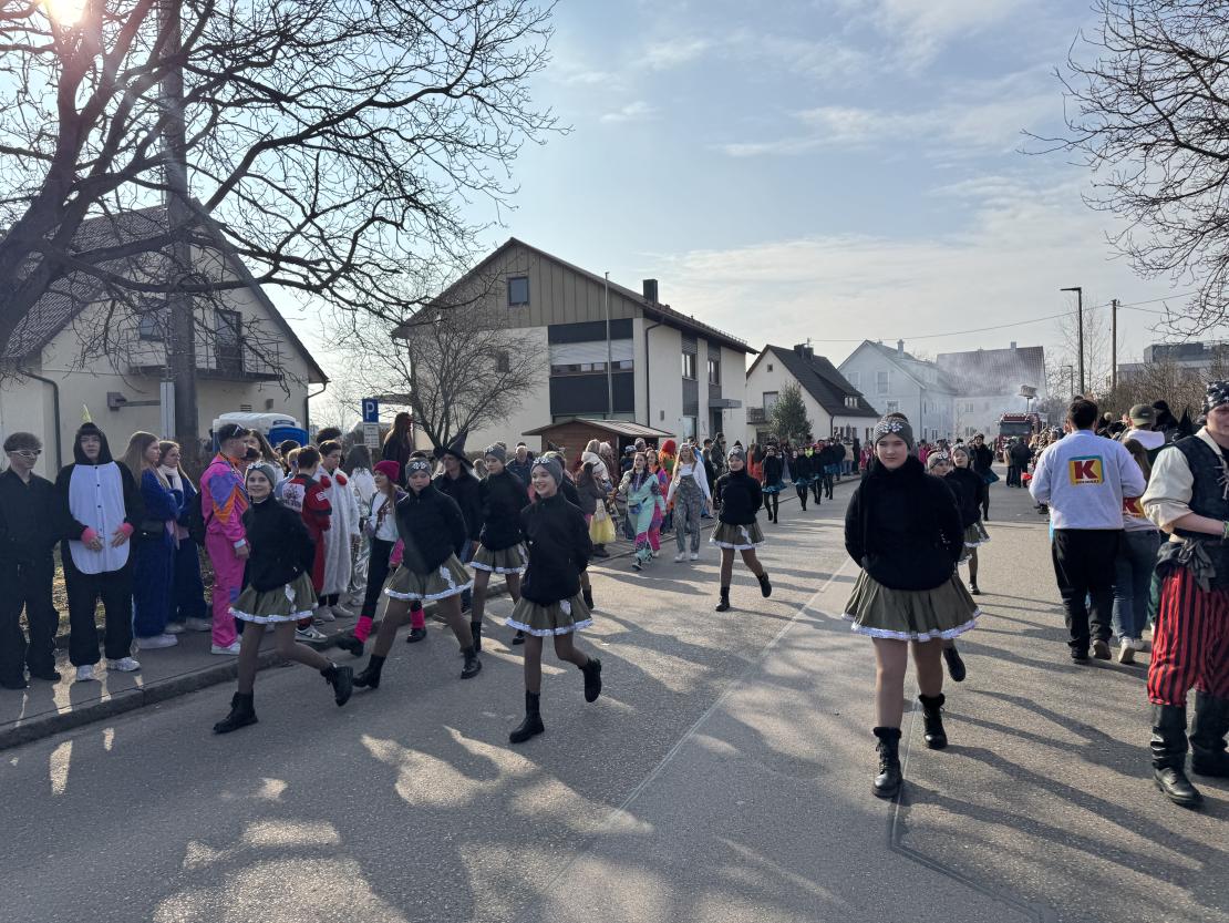 Faschingsumzug Mertingen 2025