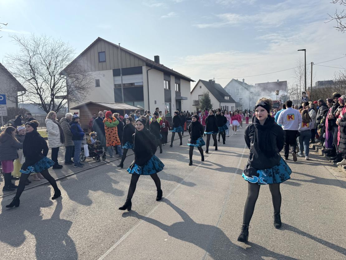 Faschingsumzug Mertingen 2025