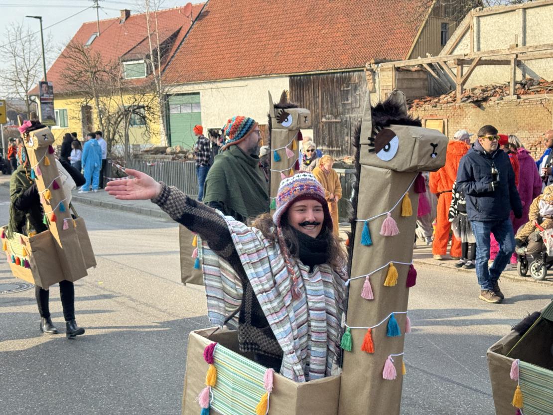 Faschingsumzug Mertingen 2025