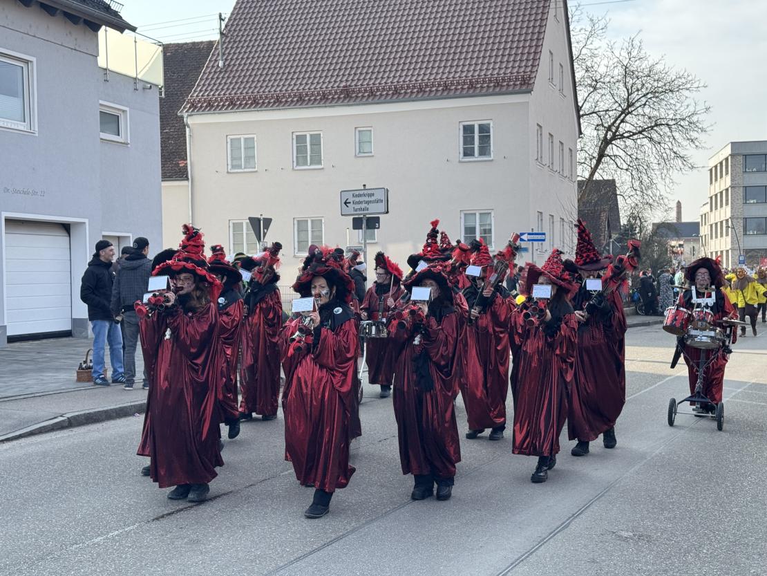 Faschingsumzug Mertingen 2025