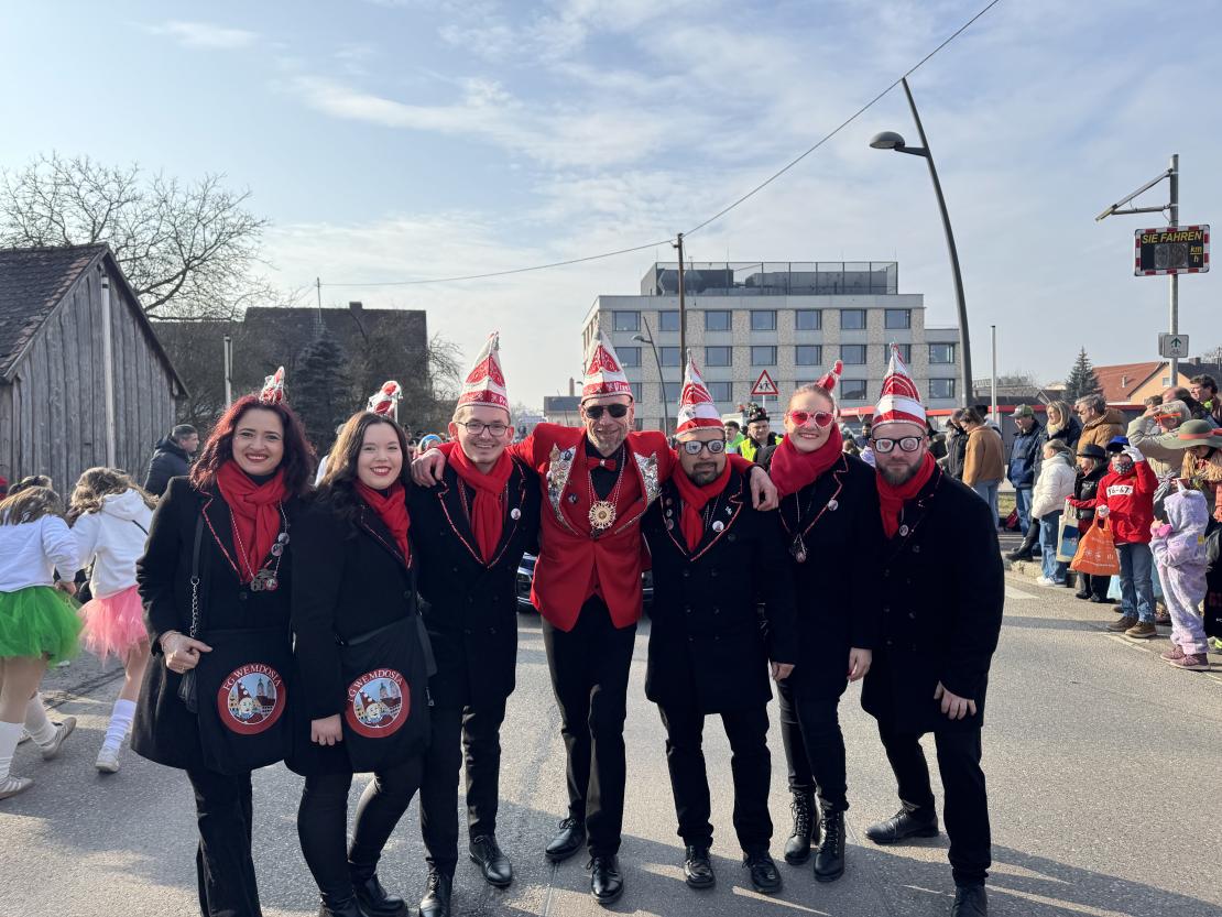 Faschingsumzug Mertingen 2025