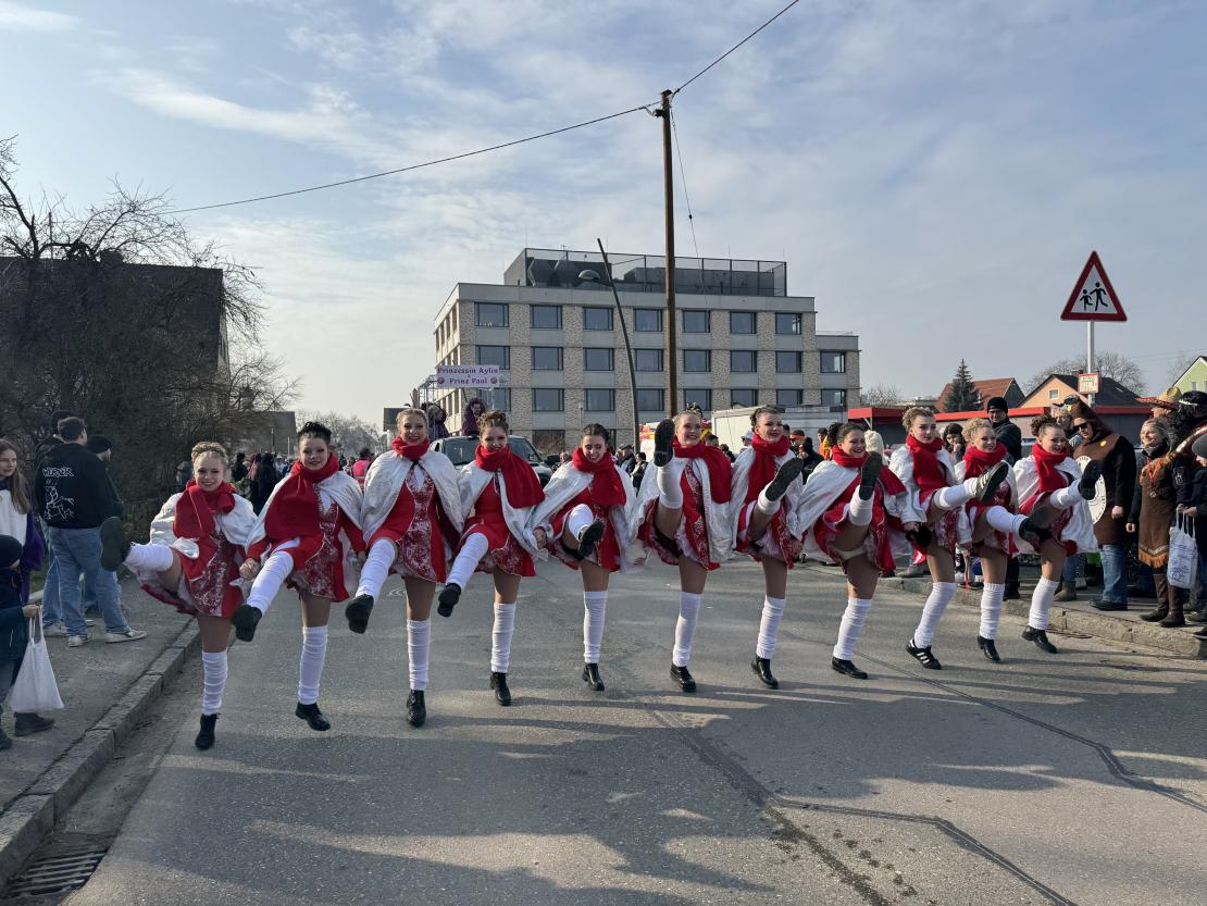 Faschingsumzug Mertingen 2025