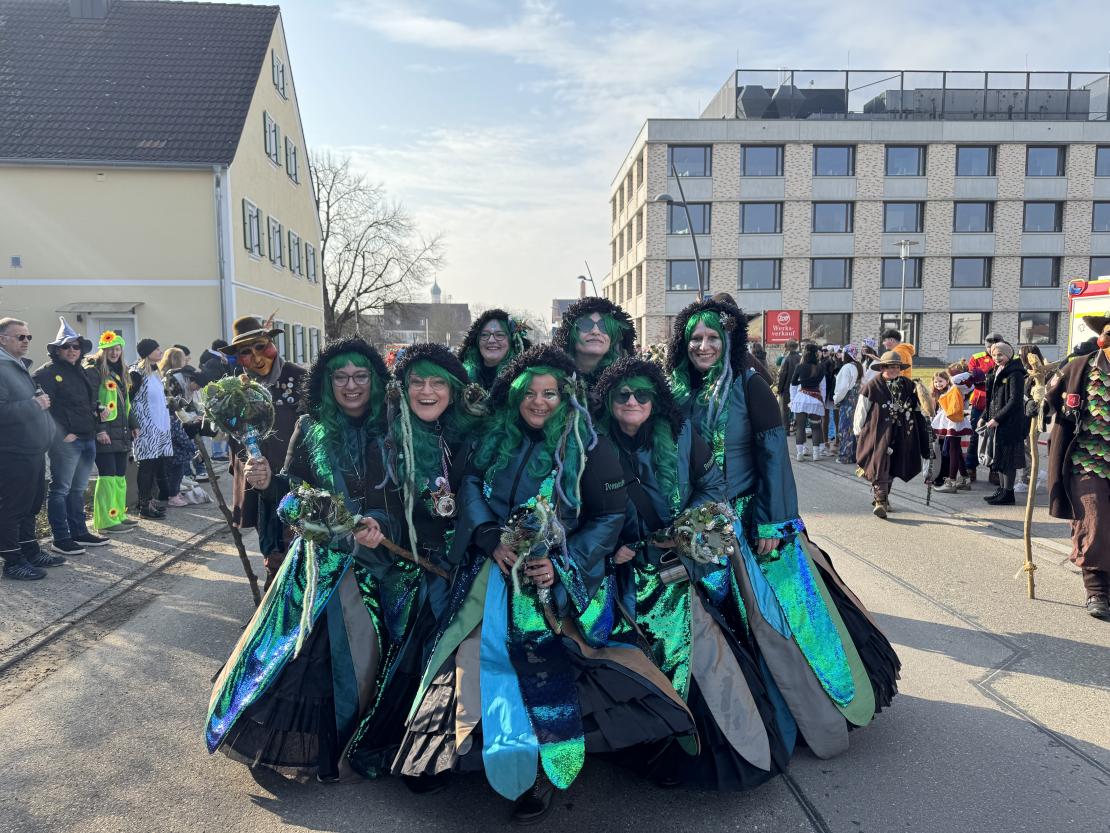 Faschingsumzug Mertingen 2025