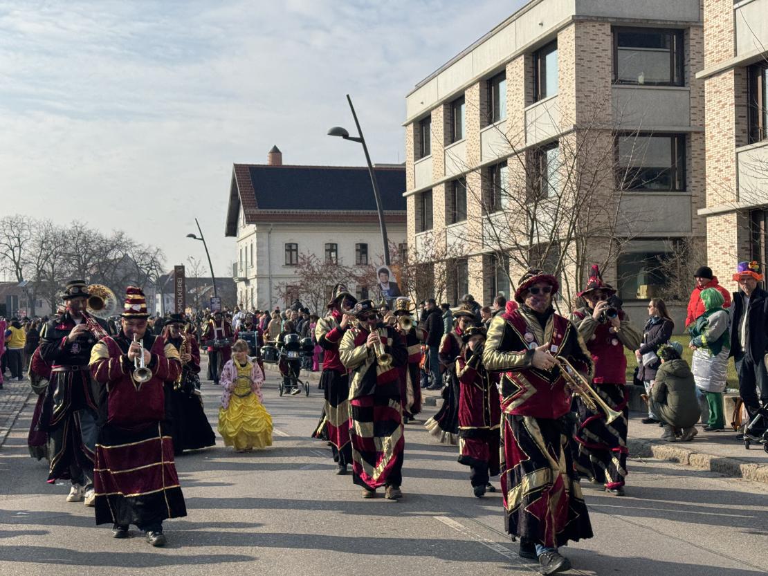 Faschingsumzug Mertingen 2025