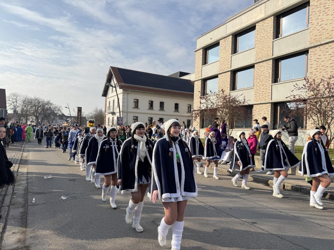 Faschingsumzug Mertingen 2025