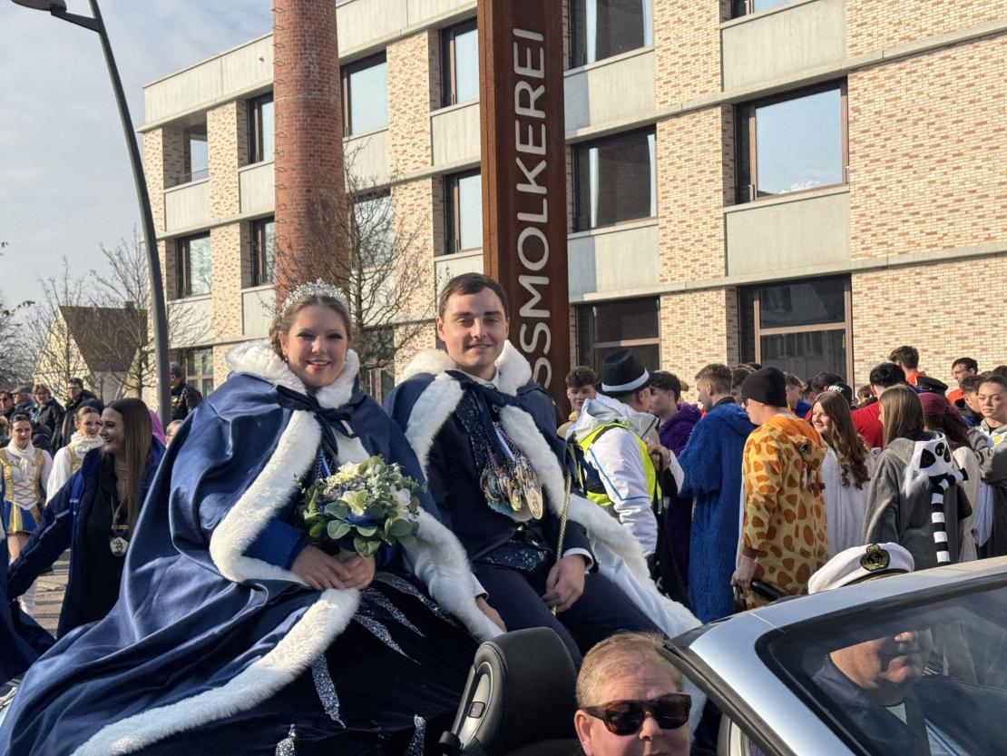 Faschingsumzug Mertingen 2025