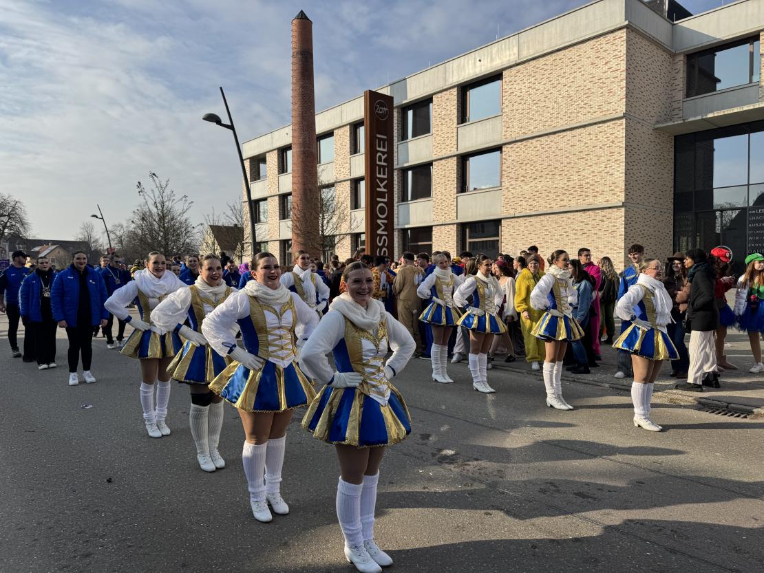 Faschingsumzug Mertingen 2025