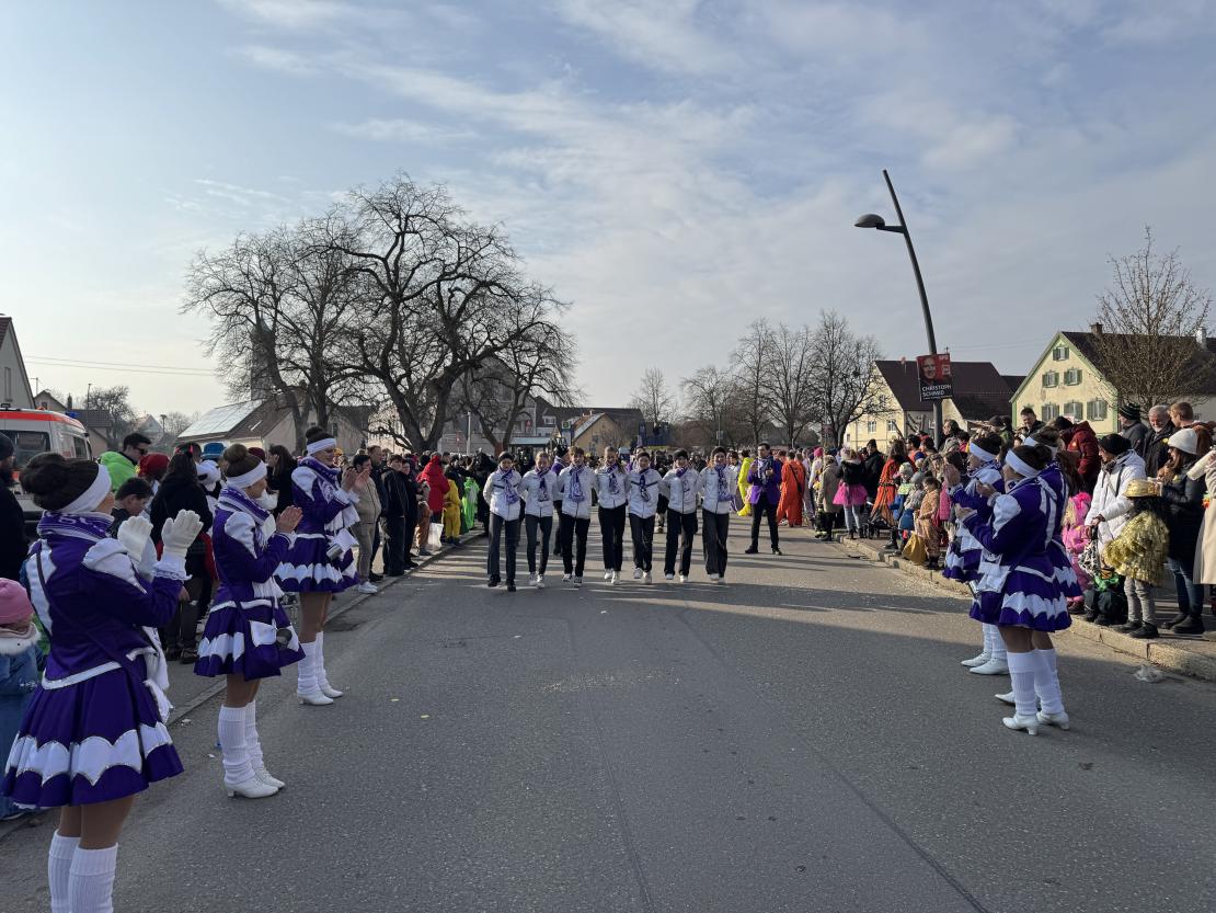 Faschingsumzug Mertingen 2025