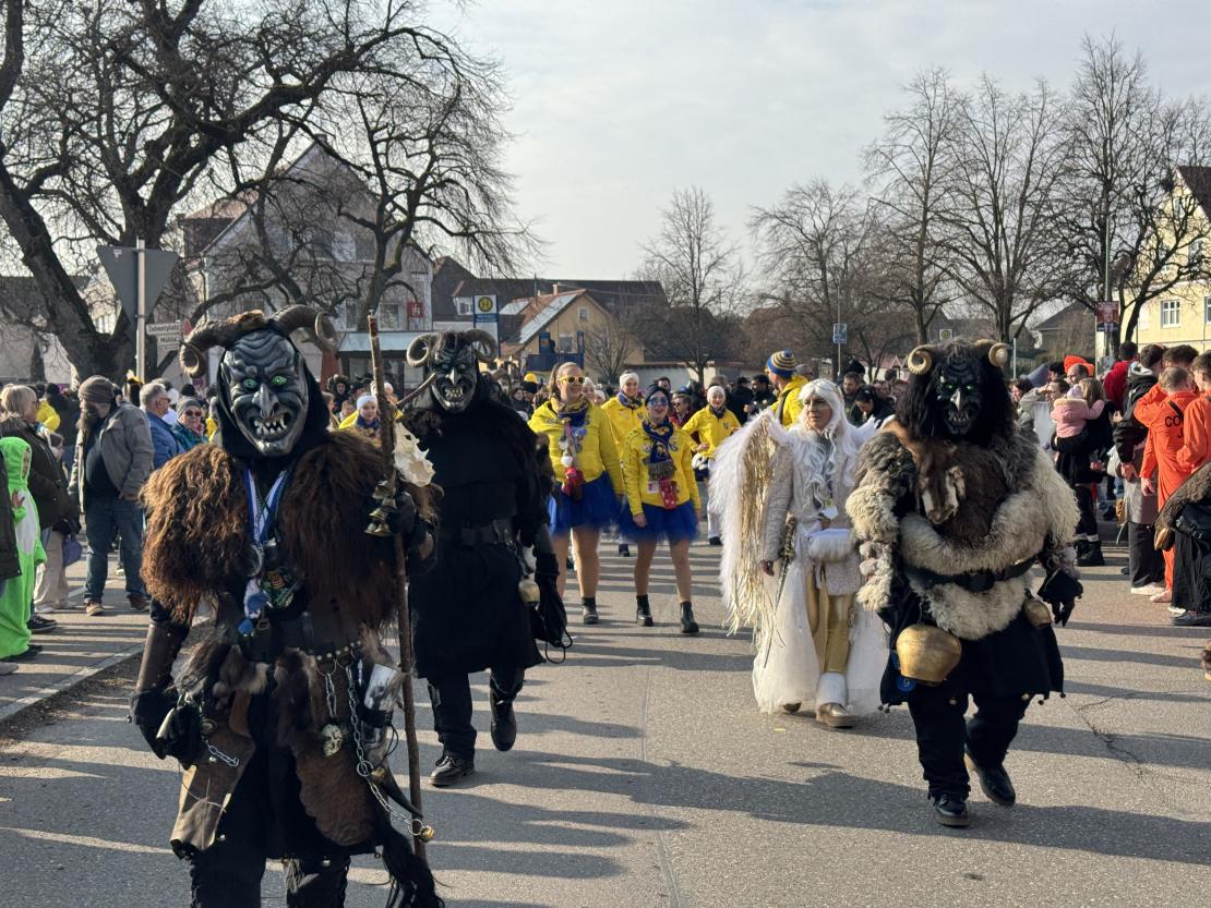 Faschingsumzug Mertingen 2025