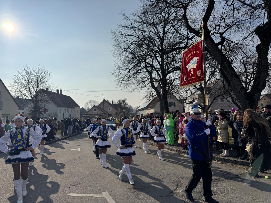Faschingsumzug Mertingen 2025