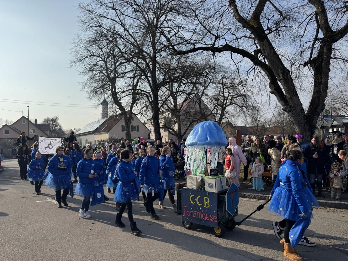 Faschingsumzug Mertingen 2025