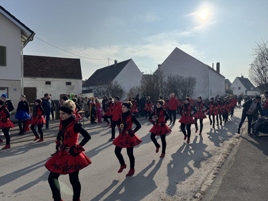 Faschingsumzug Mertingen 2025