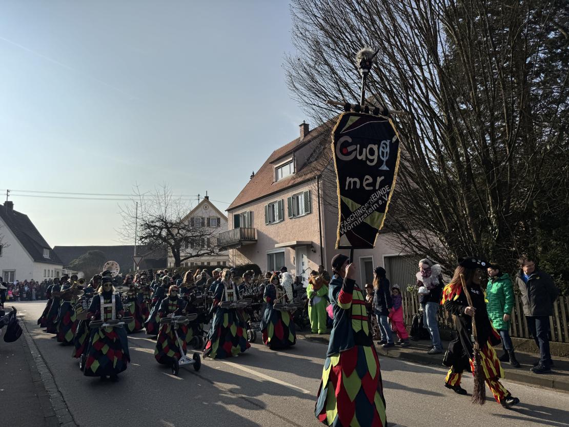 Faschingsumzug Mertingen 2025