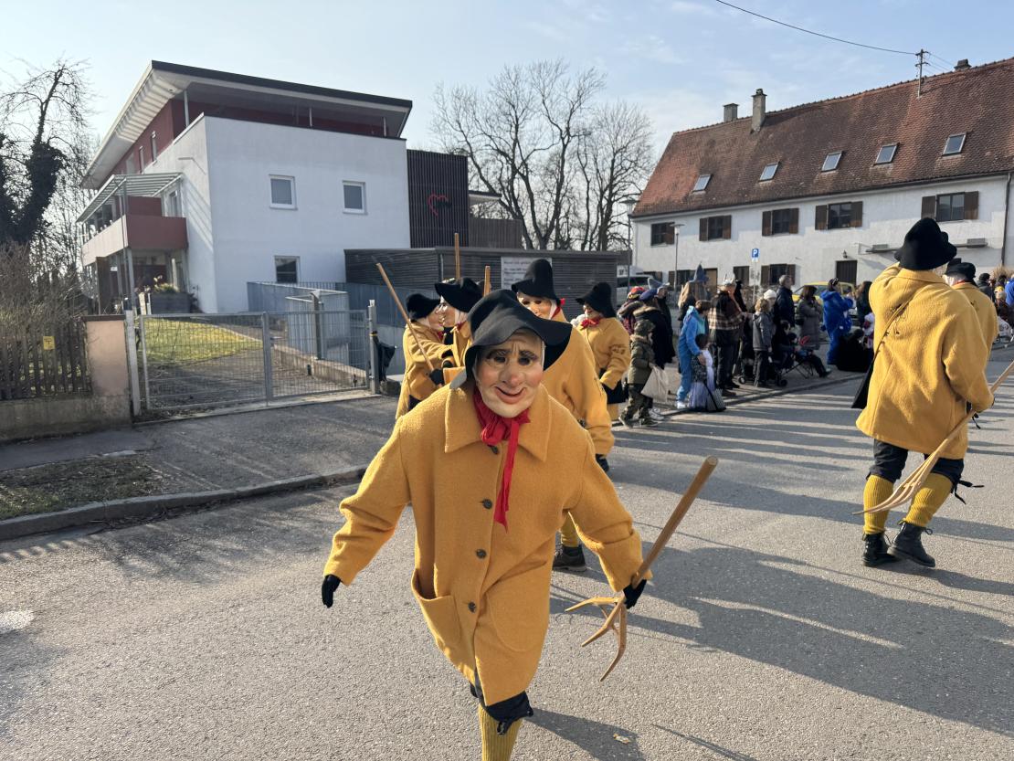 Faschingsumzug Mertingen 2025