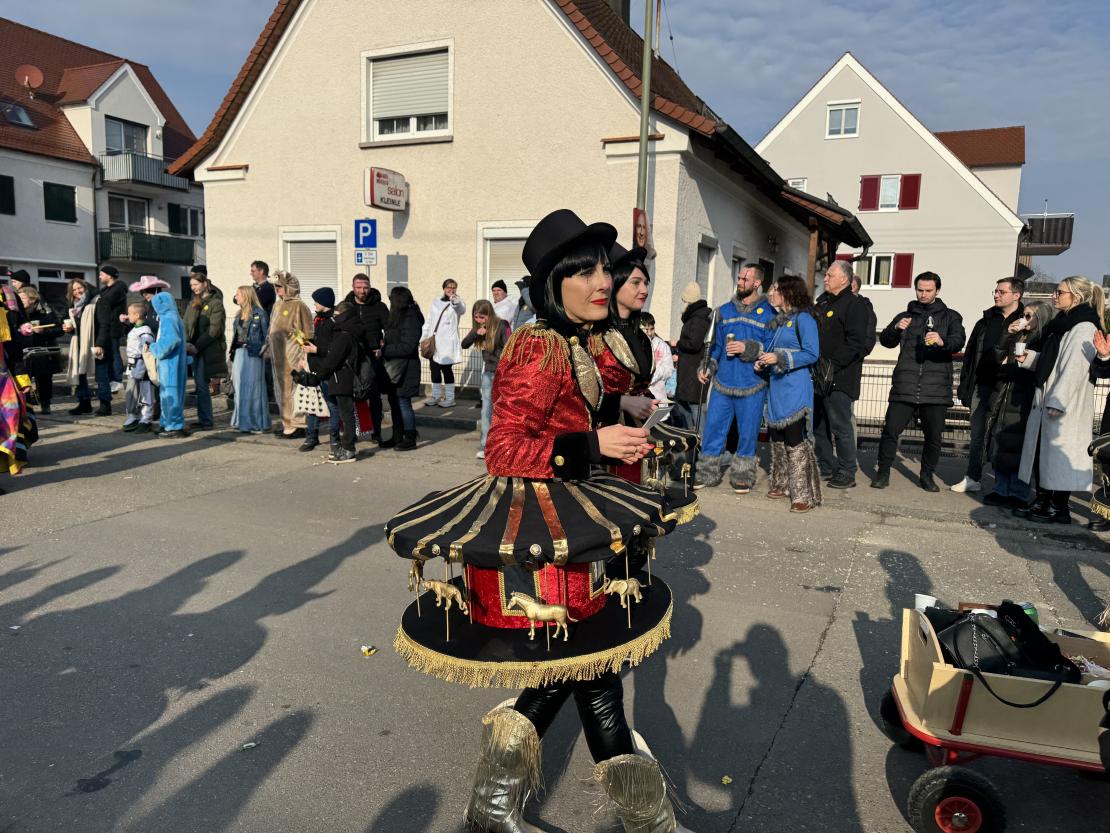 Faschingsumzug Mertingen 2025