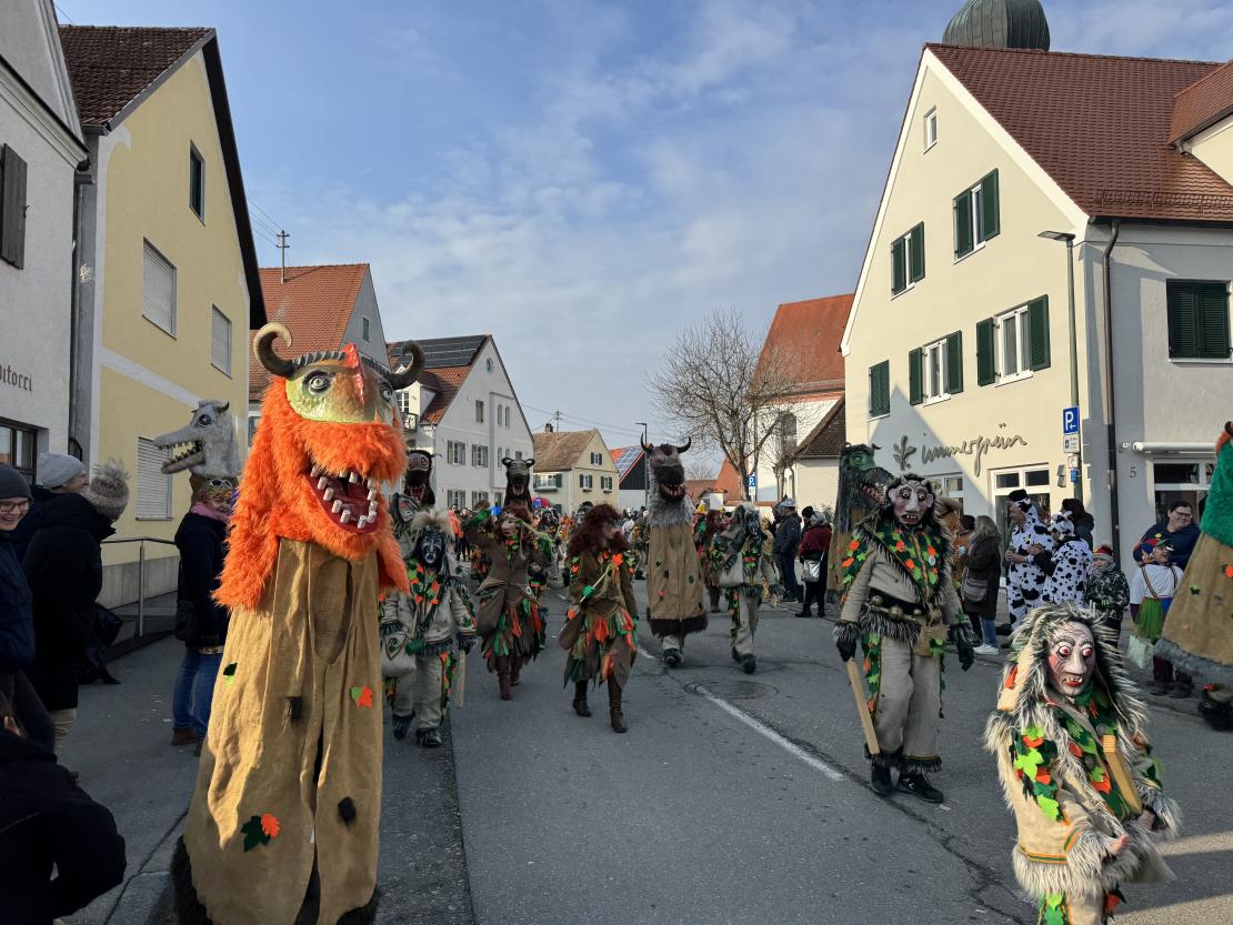 Faschingsumzug Mertingen 2025