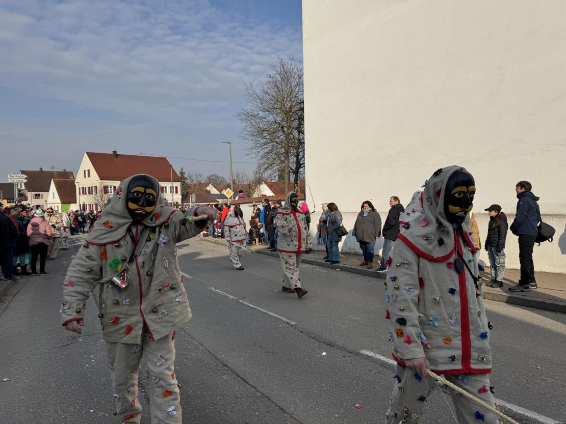 Faschingsumzug Mertingen 2025