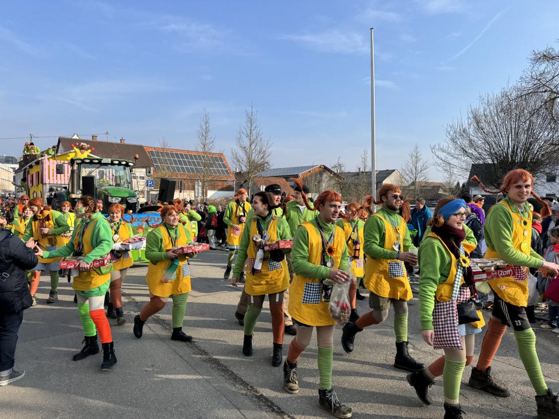 Faschingsumzug Mertingen 2025