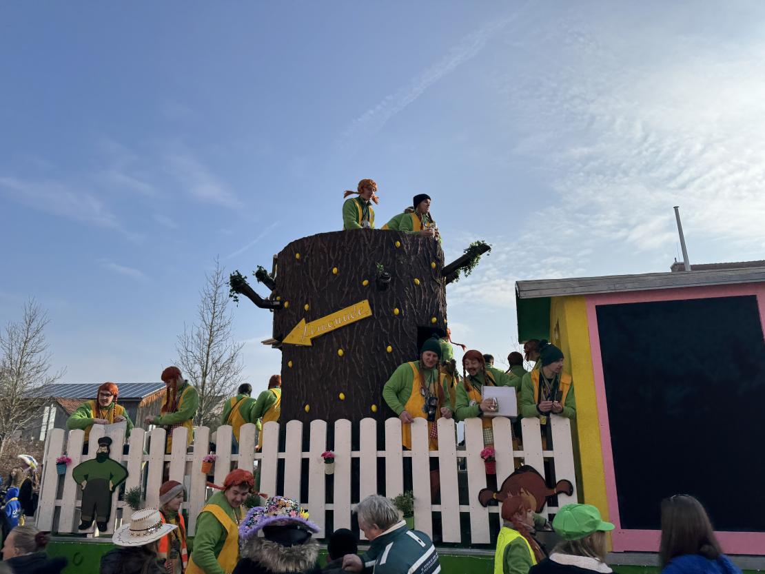 Faschingsumzug Mertingen 2025