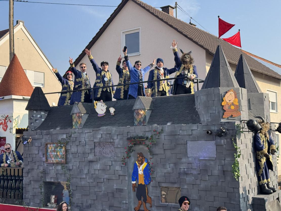 Faschingsumzug Mertingen 2025