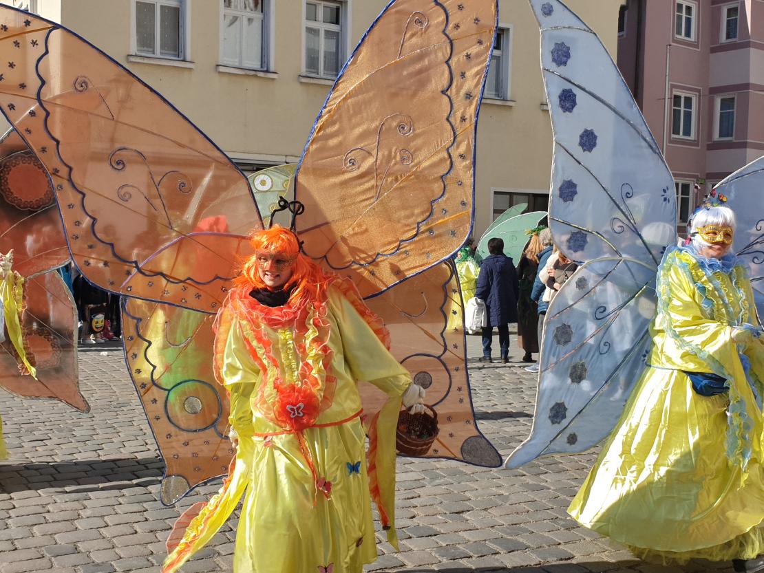 Faschingsumzug Wemding 2025