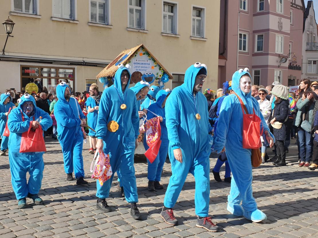 Faschingsumzug Wemding 2025