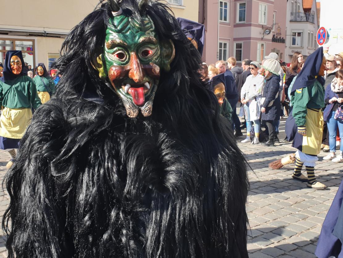 Faschingsumzug Wemding 2025