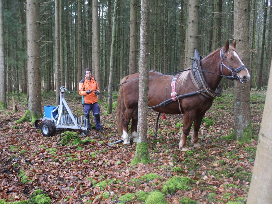 Kaltblüter Hanni und Revierleiter Korbinian Fickert testen das Verfahren.