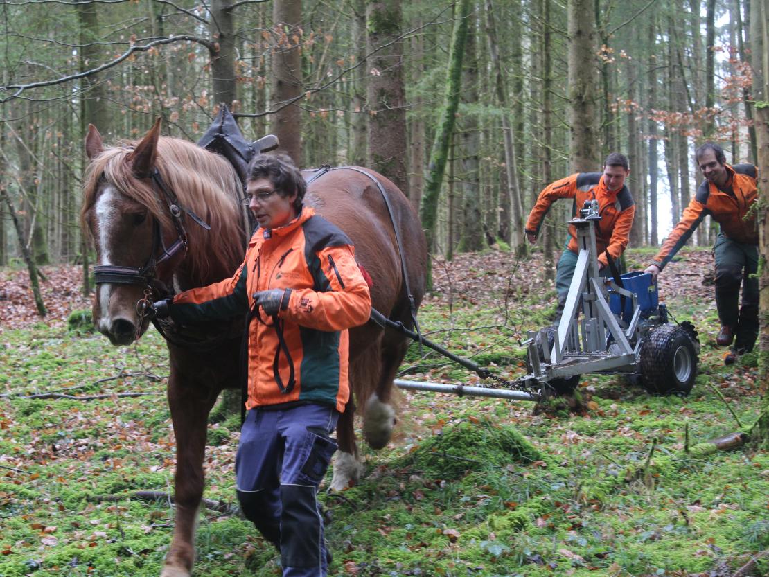 Die Auszubildenden bekommen einen spannenden Einblick in eine nicht mehr alltägliche Arbeitsweise.