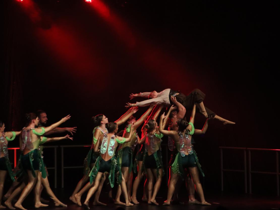 Showgala Blaumeisen Huisheim