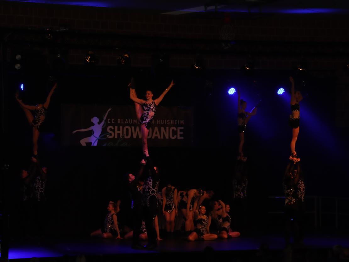 Showgala Blaumeisen Huisheim