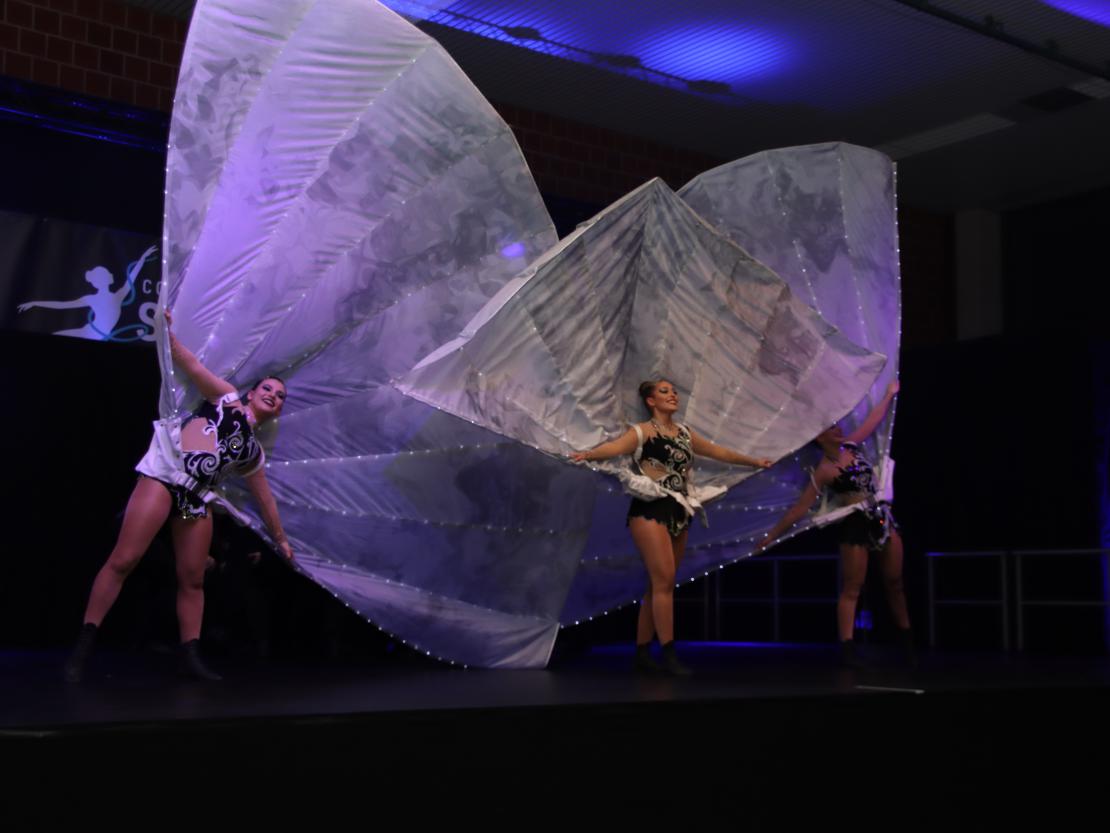 Showgala Blaumeisen Huisheim