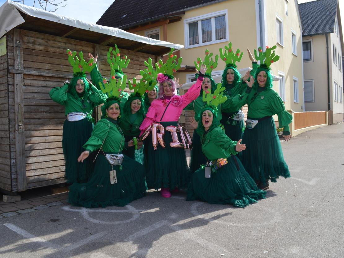 Faschingsumzug Megesheim 2025