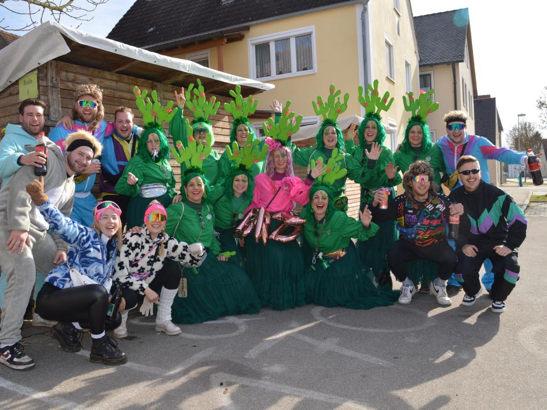 Faschingsumzug Megesheim 2025