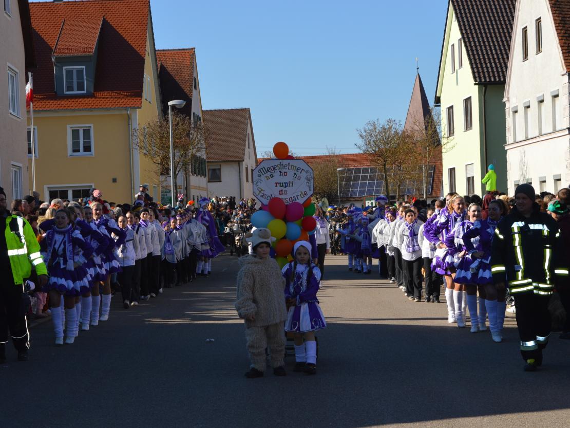 Faschingsumzug Megesheim 2025