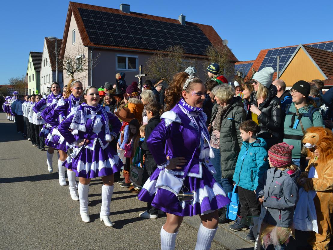 Faschingsumzug Megesheim 2025