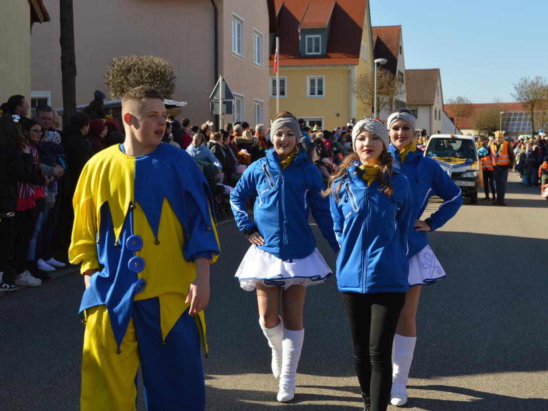 Faschingsumzug Megesheim 2025