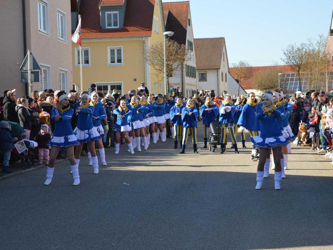 Faschingsumzug Megesheim 2025