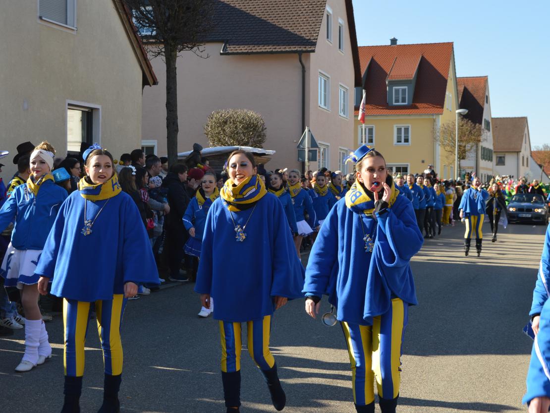 Faschingsumzug Megesheim 2025