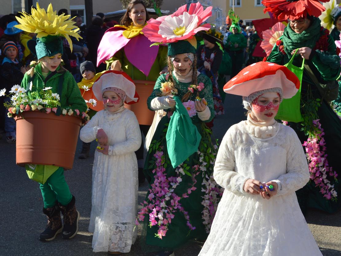 Faschingsumzug Megesheim 2025