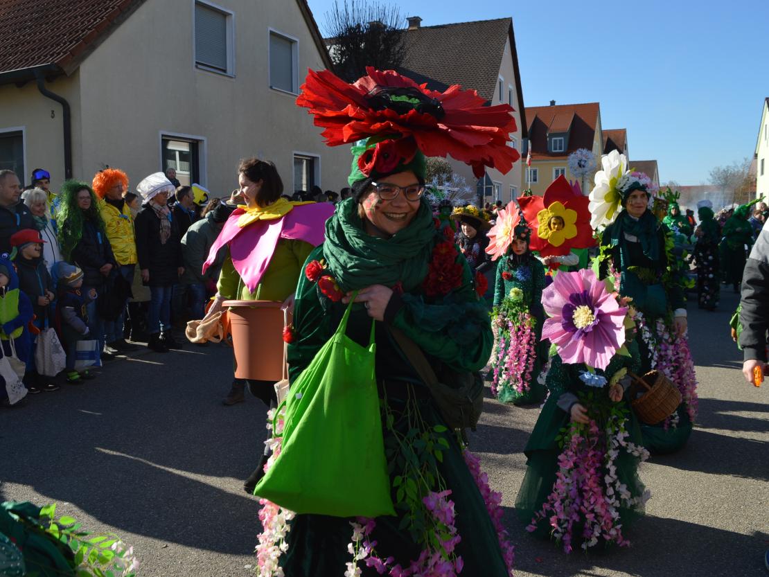 Faschingsumzug Megesheim 2025