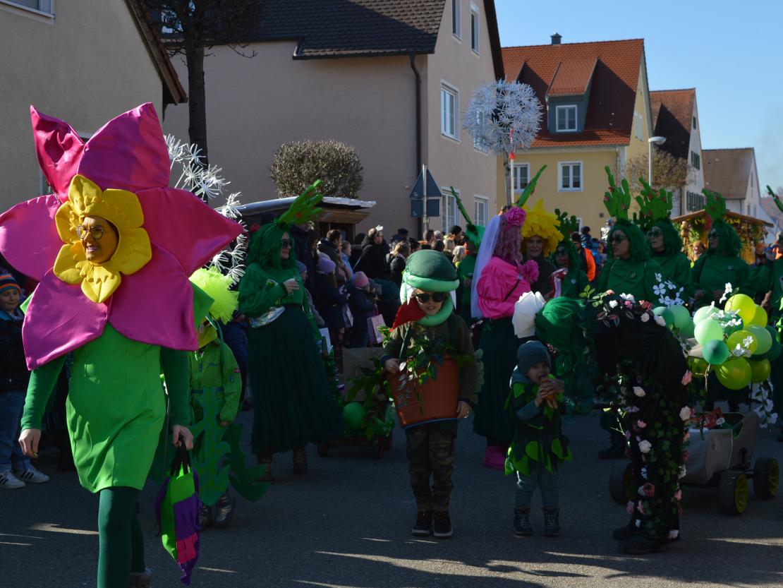 Faschingsumzug Megesheim 2025