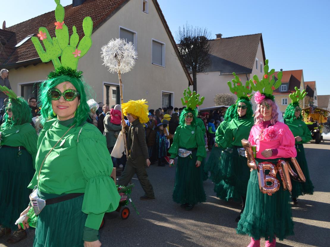 Faschingsumzug Megesheim 2025